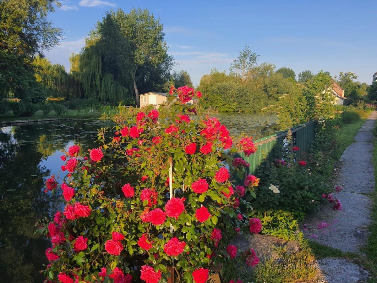 אמיינס Le Cottage Des Hortillonnages מראה חיצוני תמונה